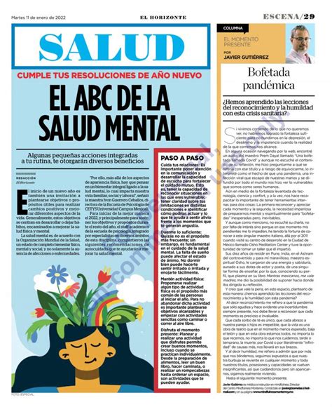 El Abc De La Salud Mental Cetys