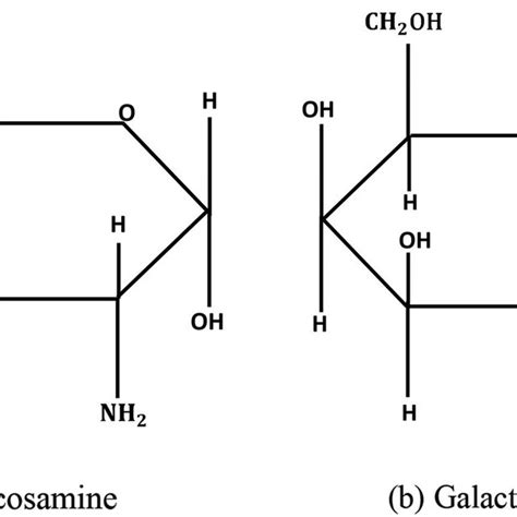 Glucosamine And Galactosamine Structural Formula A Glucosamine B Download Scientific