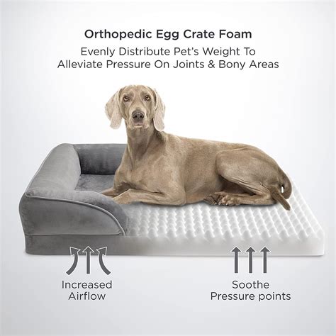 Orthopedic Bed For Great Dane at George Tarenorerer blog