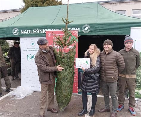 Oddali krew i dostali świateczne drzewko Dziś w Radomiu akcje leśników