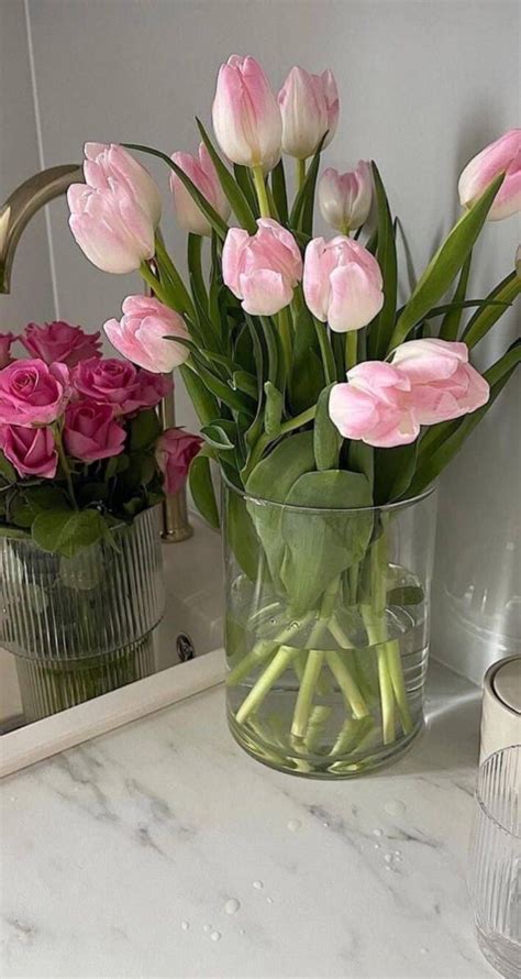 Pin By Jamie On AESTHETICS Tulips Flowers Amazing Flowers Nothing