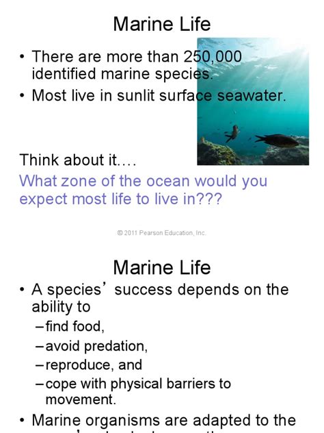 Classification and Adaptations of Marine Life | PDF | Plankton | Oceans