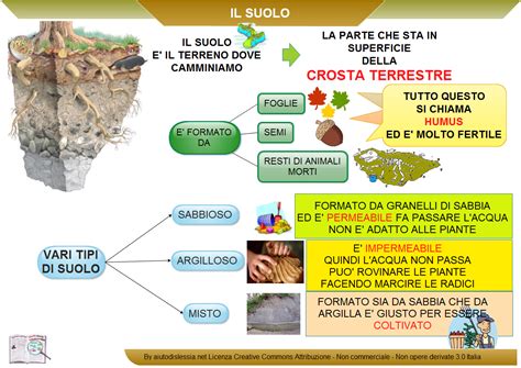 Inquinamento Del Suolo Artofit