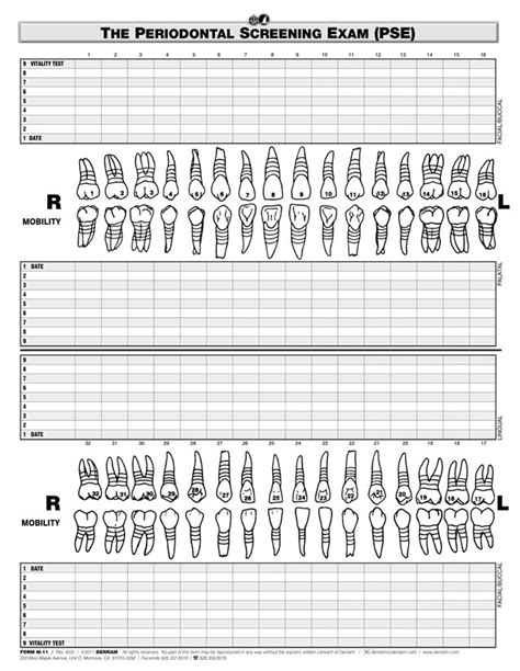 Printable Periodontal Probing Chart Free Printable Charts