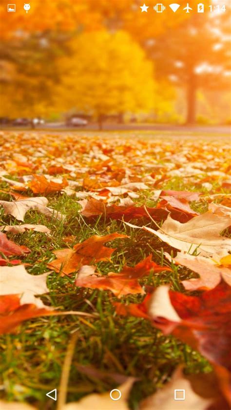 Fall Leaves Live Wallpaper 4K APK voor Android Download