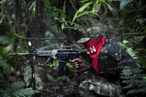 Instan A Organismos Internacionales A Atender Acciones De Grupos