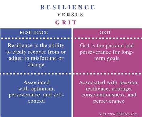 What Is The Difference Between Resilience And Grit Pediaacom