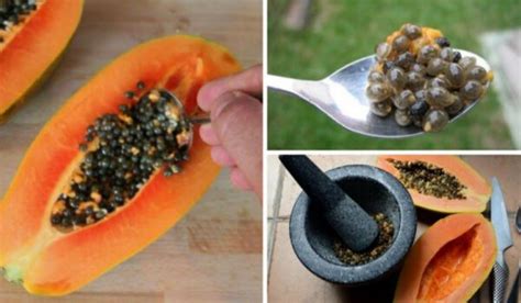 19 Surprising Benefits Of Papaya Seeds And How To Eat Them