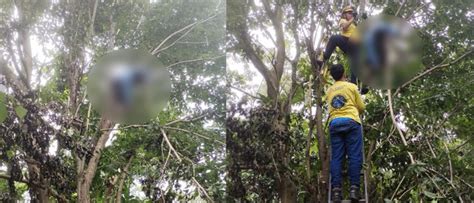 Hombre fallece electrocutado mientras podaba un árbol en el interior de