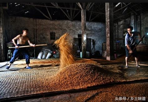 實拍農村傳統的釀酒作坊，一天蒸谷一天出酒，包穀酒每斤20元 每日頭條