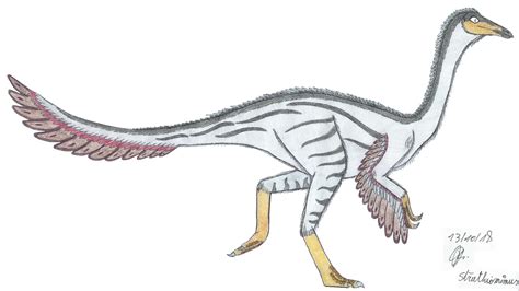 Struthiomimus By Suchomimus62 On Deviantart