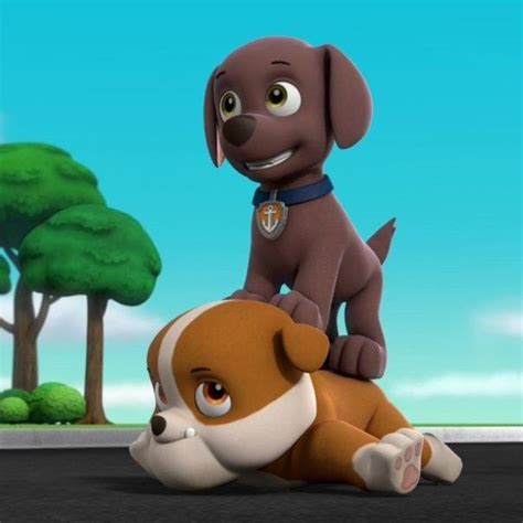 Pin De Rodrigo Orbieta En Paw Patrol Patrulla Canina