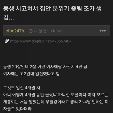 20살 동생이 18살 여고생 임신 시켰다는 개붕이