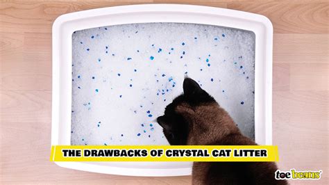 Clumps Or Crystals Which Cat Litter Type Works Best Toe Beans