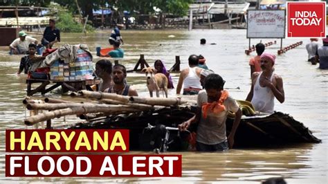 Haryana Flood Scare Ndrf Teams On Alert Normal Life Thrown Out Of