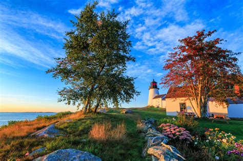 Spring Flowers Lighthouse Best Flower Site