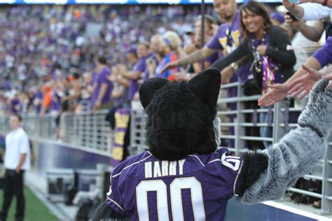 Huskies vs Boise State Photo Album | UW Orthopaedic Surgery and Sports