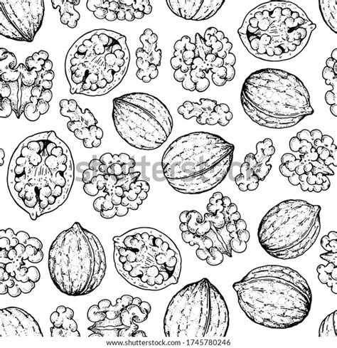 Walnut Seamless Pattern Walnut Nuts Hand Stock Vector Royalty Free