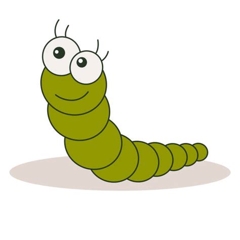 350 Maggots Drawings Stock Illustrations Royalty Free Vector Graphics