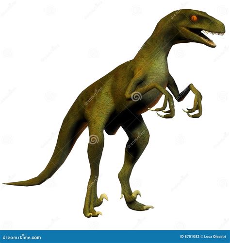 Dinosaur Velociraptor Stock Photography - Image: 8751082