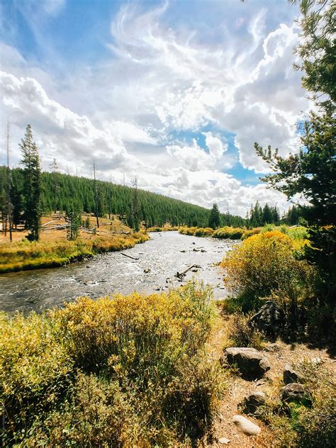 River Flowing Through Vibrant Forest Landscape Under Bright Summer Sky