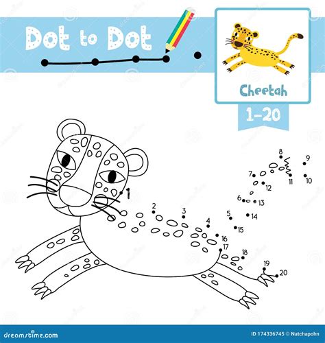 Dot To Dot Educational Game And Coloring Book Jumping Cheetah Animal