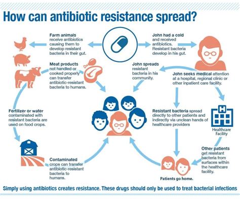 Effects Of Antibiotics Oligo Essential