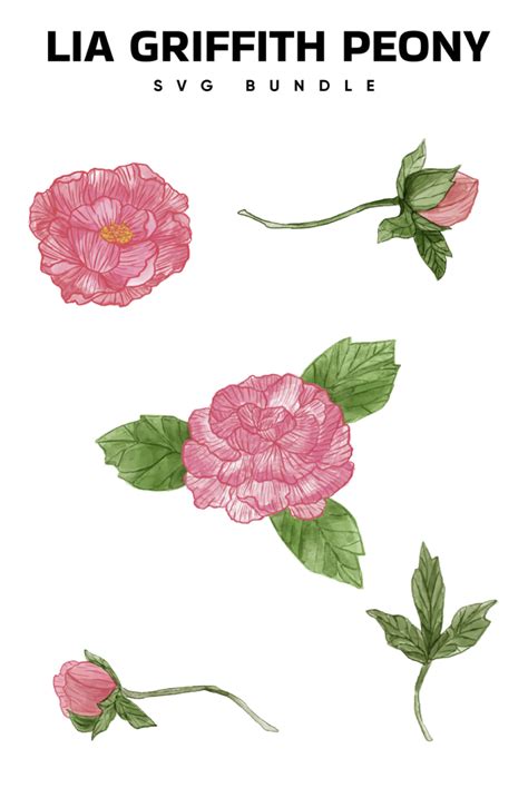 Lia Griffith Peony Svg File Masterbundles