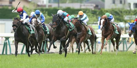 ラジオnikkei賞2020コース解説福島競馬場芝1800m ｜ 3連単6点勝負！競馬で夢を叶える！3連単競馬予想に役立つ情報が満載です。