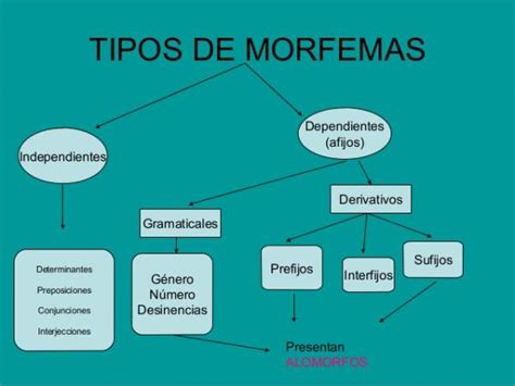 Qué es un morfema independiente