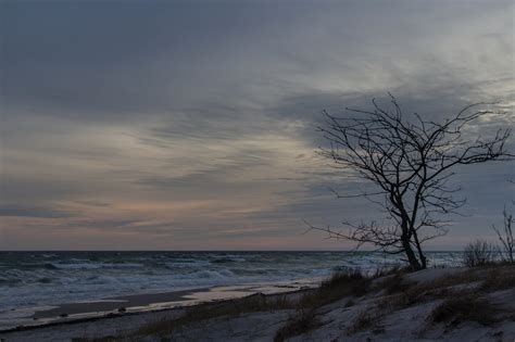 Wallpaper Sea Tree Water Coast Waves Vatten Tr D Hav Stersj N