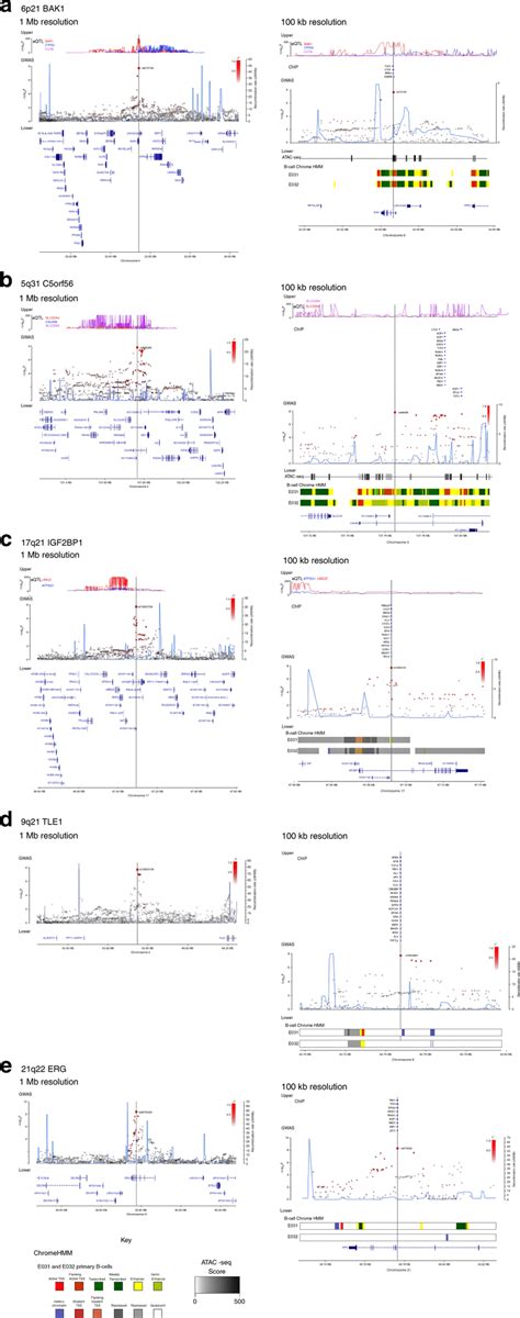 Regional Plots Of Association Results And Recombination Rates For The