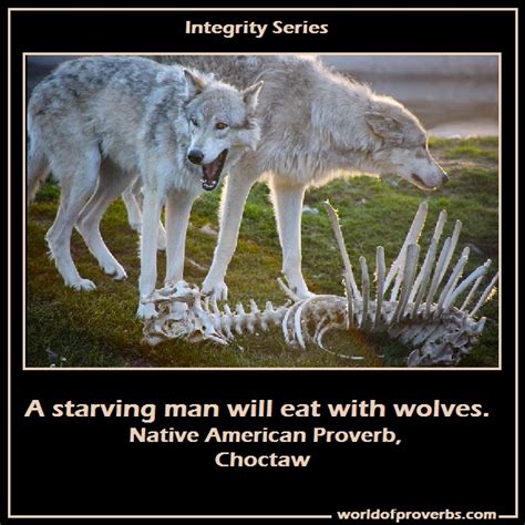 Famous Quotes About Wolves. QuotesGram