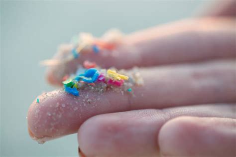 Microplastics Are Everywhere Including In Our Bodies Heres What We