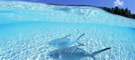 The Magical Crystal Clear Waters of Maldives : ImagesOfMaldives