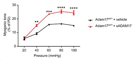 Figure Supplement 2 Sadam17 Ameliorates Arterial Tone In Adam17 Ex