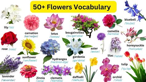 50+ Flowers Vocabulary in English | World of Flowers - YouTube