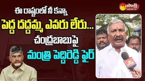 Minister Peddireddy Ramachandra Reddy Fires On Chandrababu Kuppam