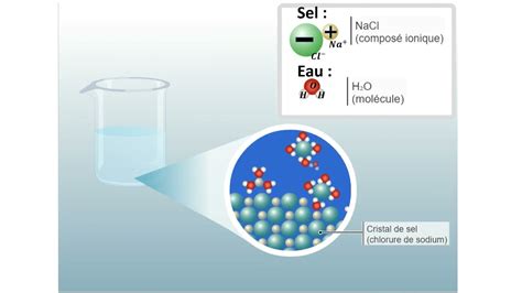 Dissolution Du Sel Dans L Eau Youtube