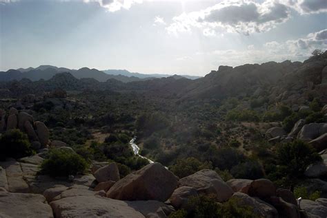joshua tree national park resorts 3