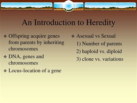 Ppt Meiosis And Sexual Life Cycle Powerpoint Presentation Free