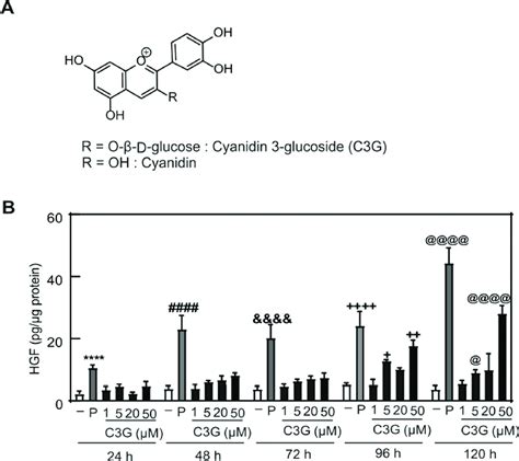 Effect Of C3G On HGF Production In NHDF Cells A Chemical Structures