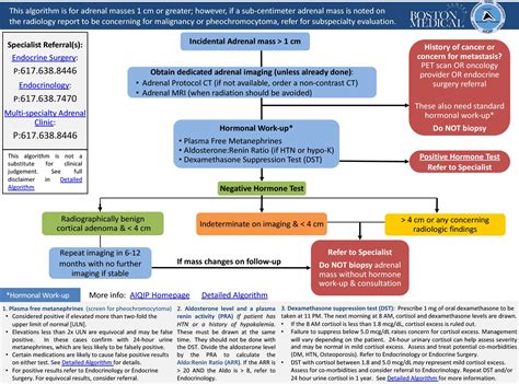 Adrenal Incidentaloma Quality Improvement Project Boston Medical Center