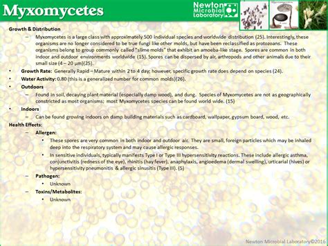 Myxomycetes – Newton Microbial Laboratory