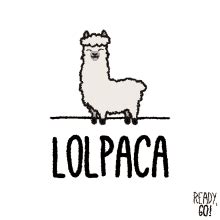 Alpaca GIFs | Tenor