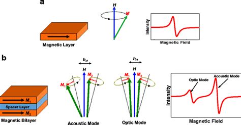 A Magnetic Thin Film The Precession Of The Magnetization Vector In The Download Scientific