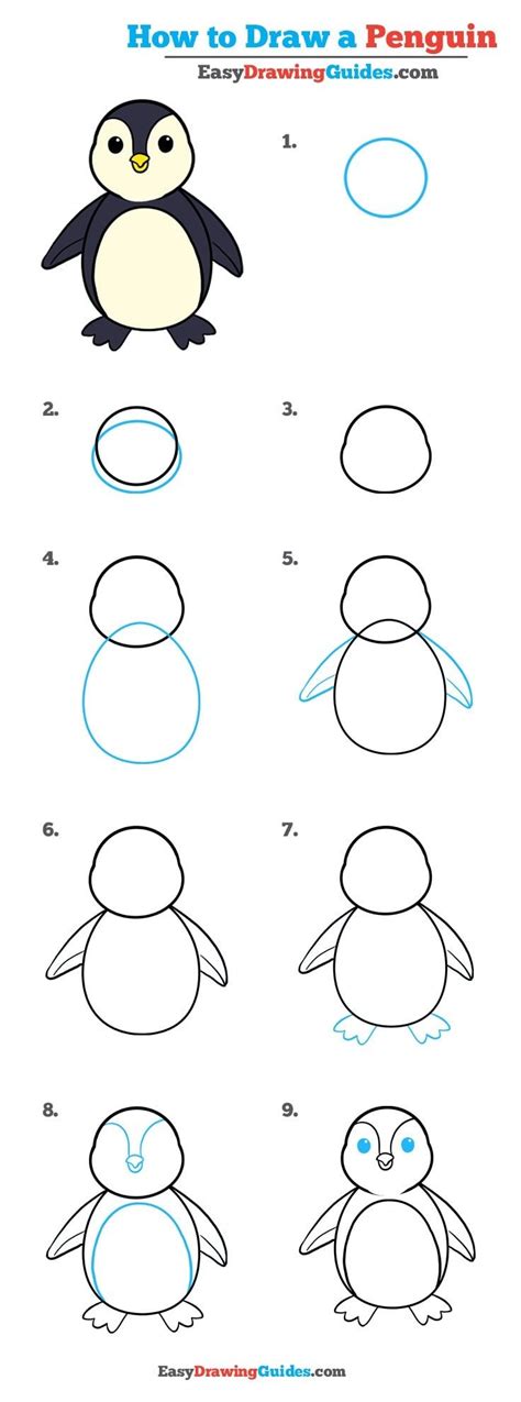 How To Draw A Penguin Drawing Lesson For Beginners – NBKomputer
