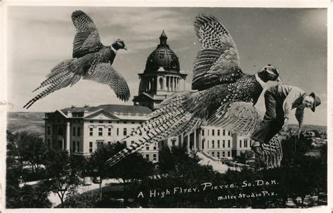 A High Flyer Pierre, SD Postcard