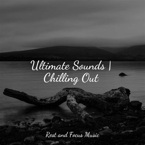 Ultimate Sounds Chilling Out Album By Relajaci N Spotify