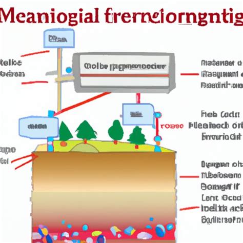 Exploring the Formation of Minerals and Their Geological Processes ...